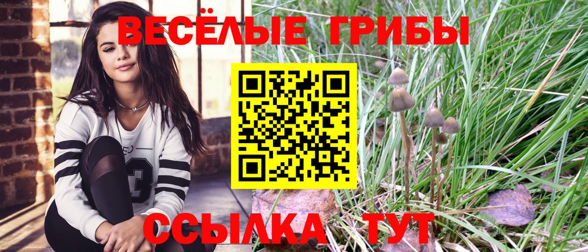 Псилоцибиновые грибы ЛСД Зима
