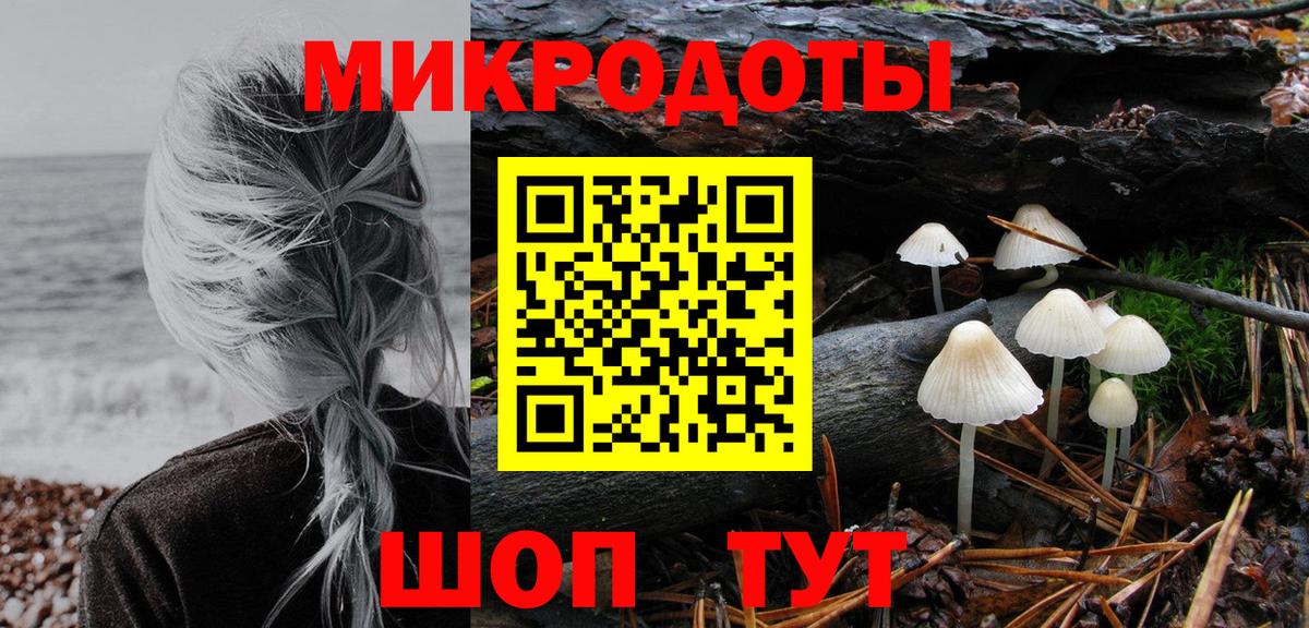 Зима  Псилоцибиновые грибы мицелий  Вход с VPN 
